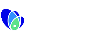 Quantify Web